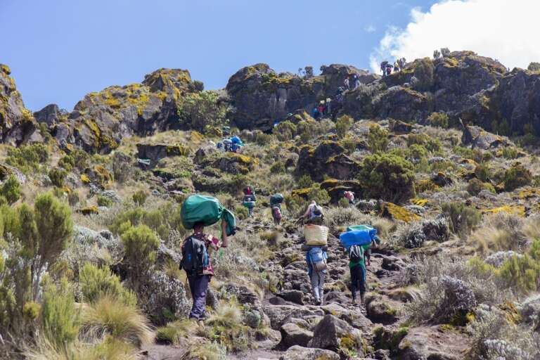 6 Days Marangu Route